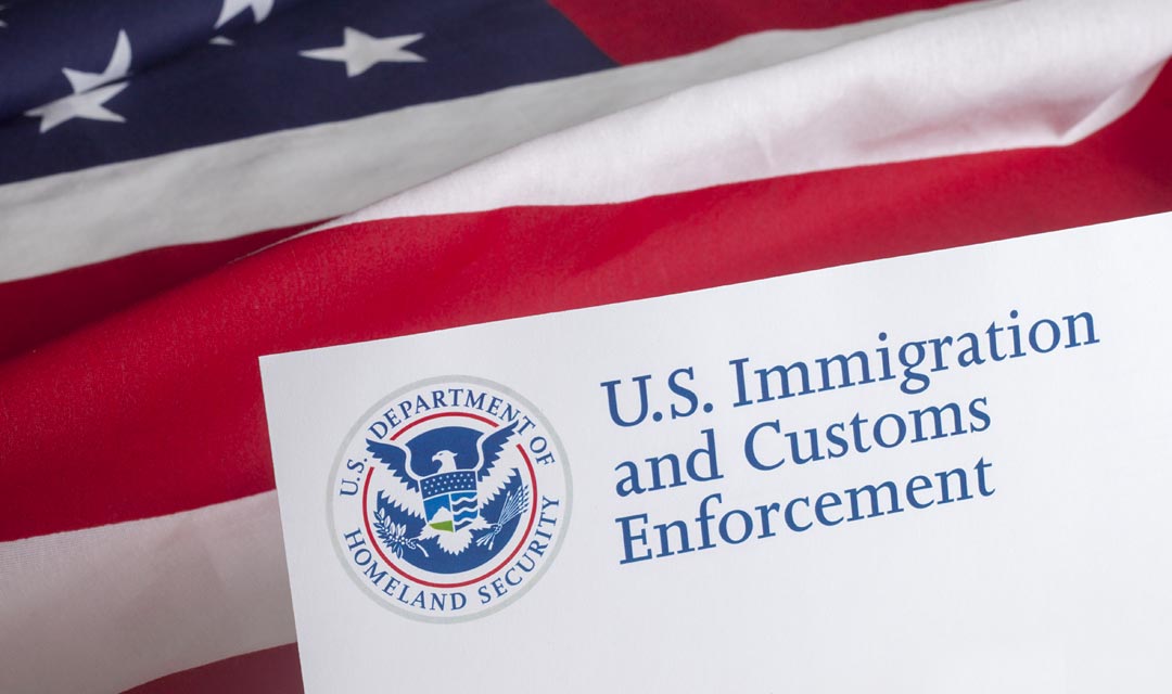 Customs & Import / Export Customs & Import / Export