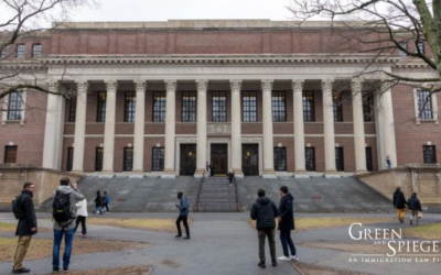 Student Visas Are Being Revoked Without Reason or Warning, Colleges Say