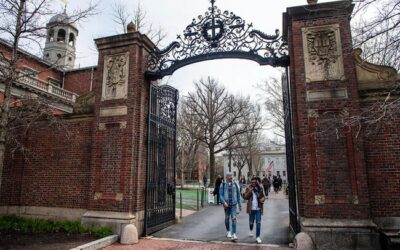 The Process of Punishing Harvard