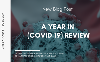 A YEAR IN (COVID-19) REVIEW