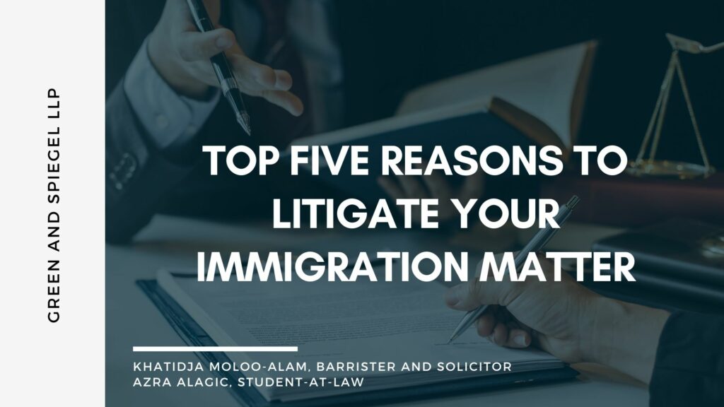 Top Five Reasons to Litigate Your Immigration Matter