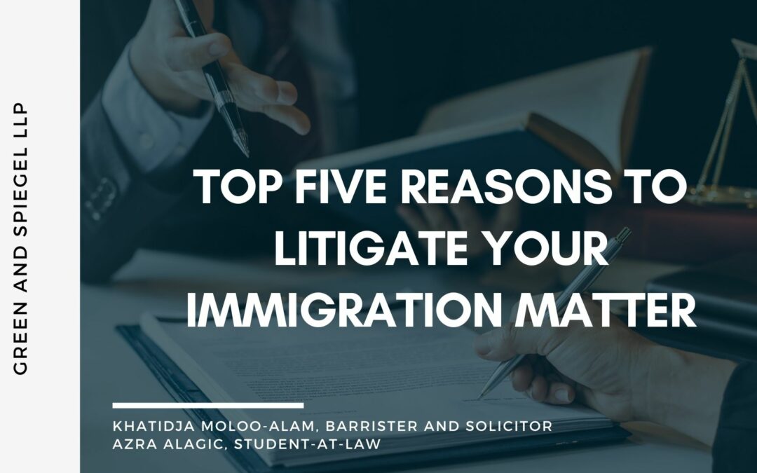 TOP FIVE REASONS TO LITIGATE YOUR IMMIGRATION MATTER