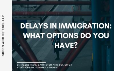 Delays in Immigration: What Options Do You Have?