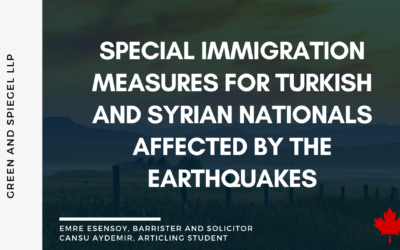 Special immigration measures for Turkish and Syrian nationals affected by the earthquakes